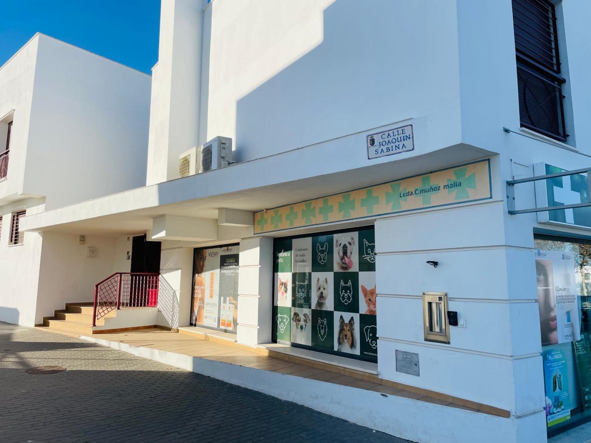 Atico Premium Conil Con 2 Terrazas, Parking, Piscina, Aire Ac Y Wifi -Solo Familias Y Parejas- Leilighet Conil De La Frontera Eksteriør bilde